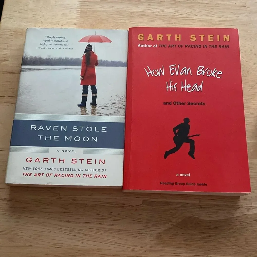 GARTH STEIN - set of 2 paperback novels